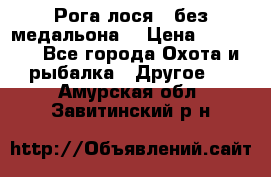 Рога лося , без медальона. › Цена ­ 15 000 - Все города Охота и рыбалка » Другое   . Амурская обл.,Завитинский р-н